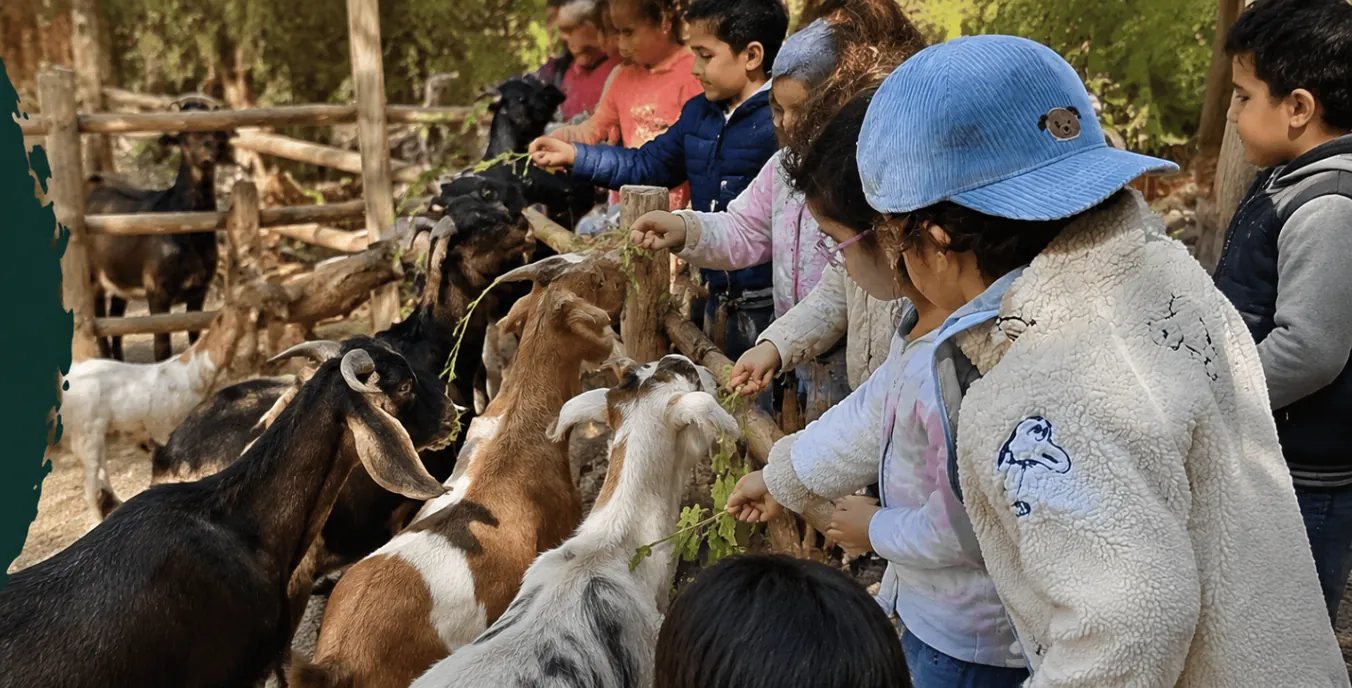 Des enfants nourrissent les chèvres de la ferme pédagogique